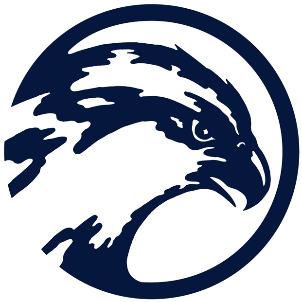 UNF Ospreys 1998 Primary Logo vinyl decal